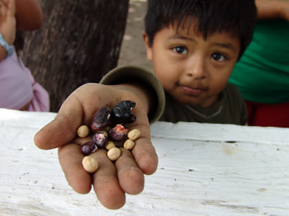 "The son of a farmer holding seeds" by Jonathan McIntosh - Own work, CC BY-SA 3.0.
